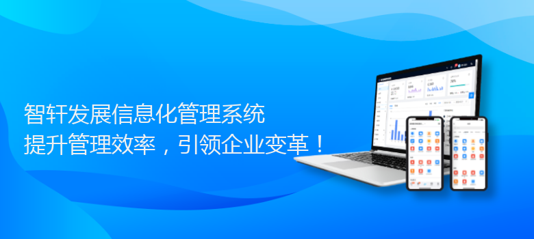 发展信息化管理系统